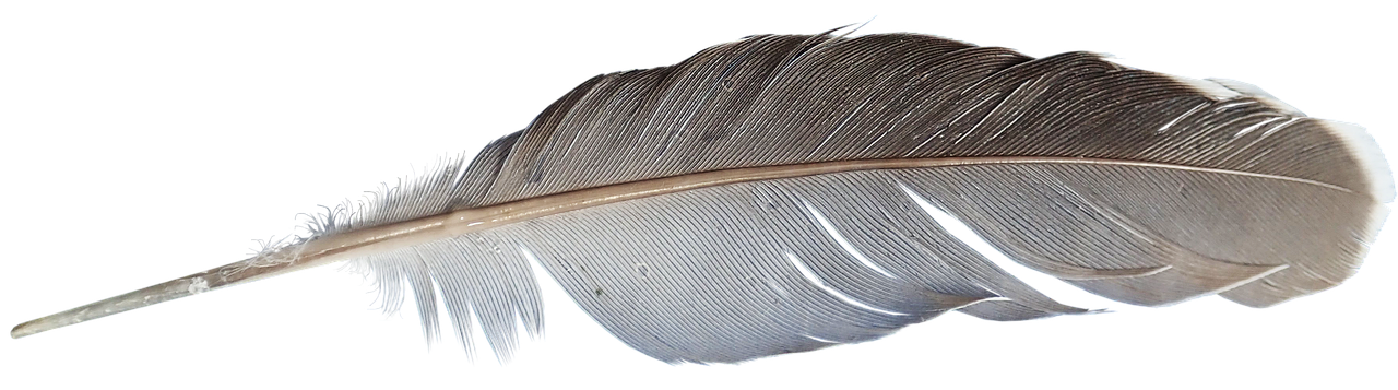 feather